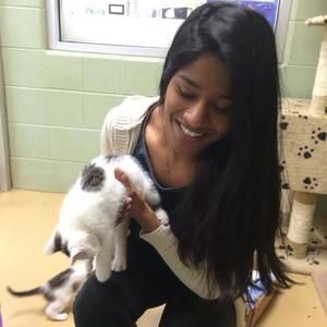 Meet your Posher, Lakshmi